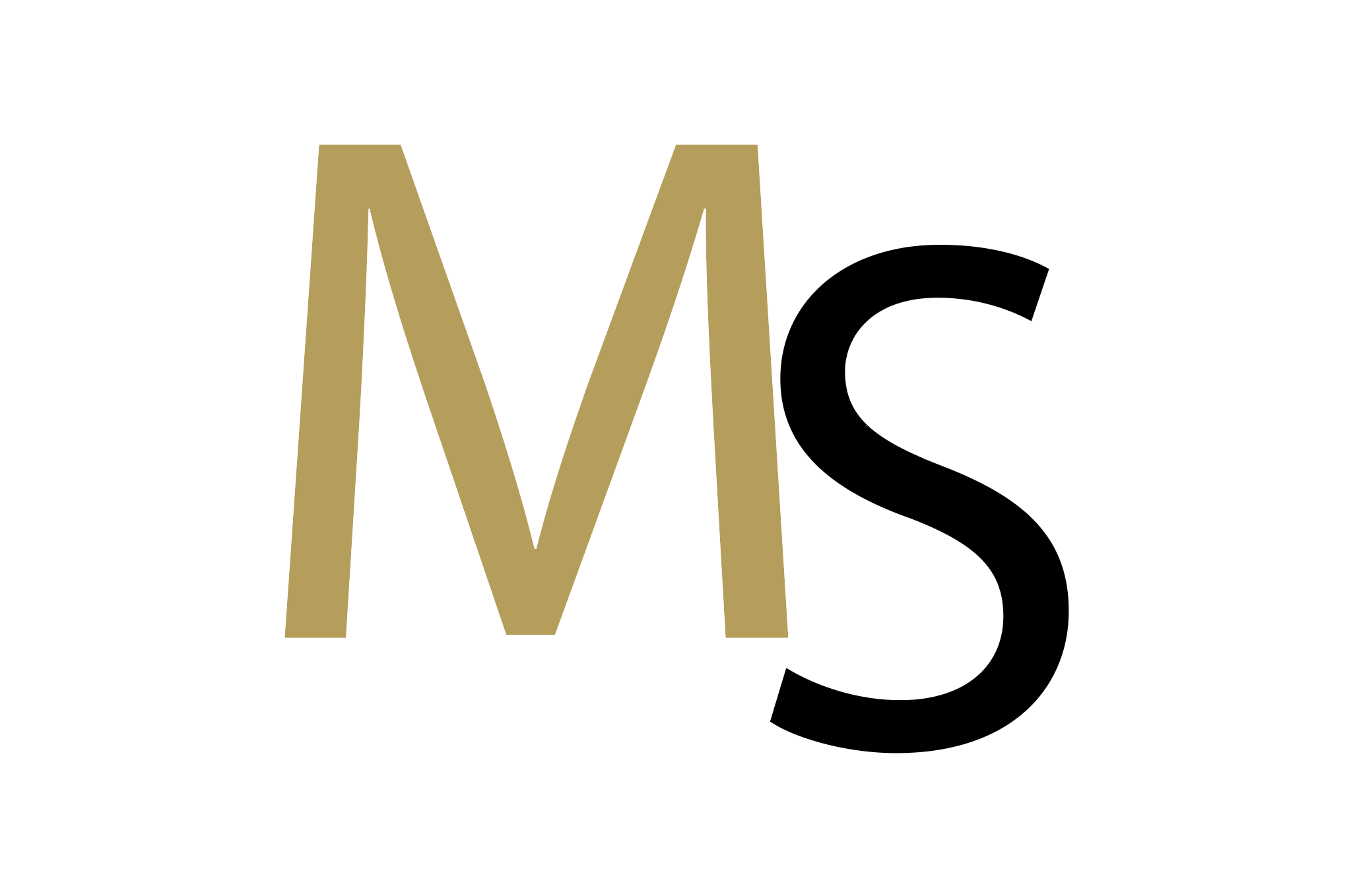 Logo for Marnitz Steyn